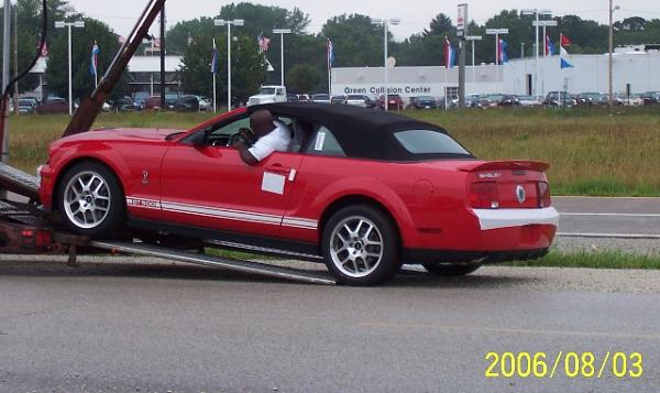 Delivered my 2nd Shelby yesterday-web3.jpg