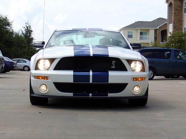 i drove a shelby yesterday-angel-frt.jpg