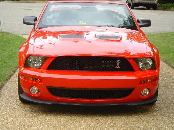 i drove a shelby yesterday-shelby-5-2-.jpg
