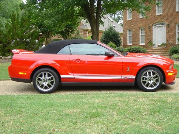 i drove a shelby yesterday-shelby-7-2-.jpg