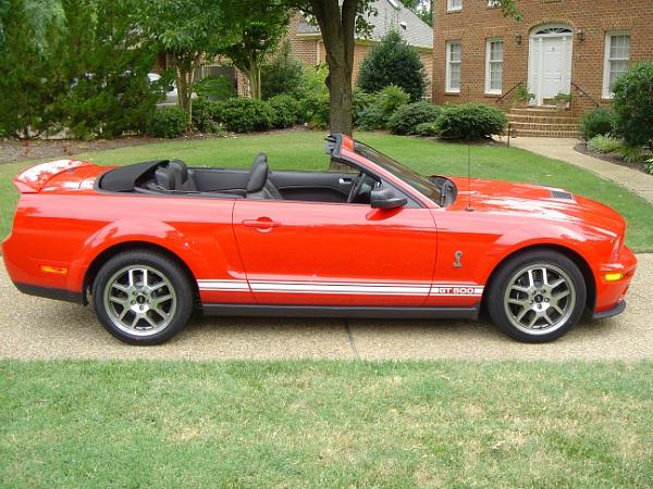 i drove a shelby yesterday-shelby-2-2-.jpg