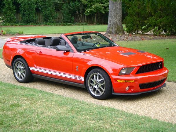 The Shelby GT500, OMG!!!!!!!!!!-shelby-4-2-.jpg