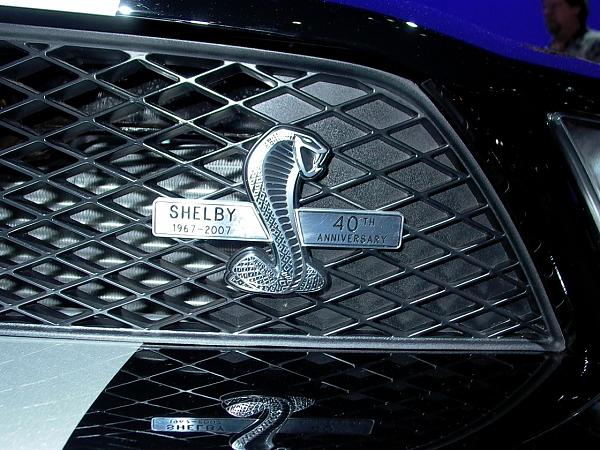 Shelby GT500 40th Anniversary Package-p1010307.jpg