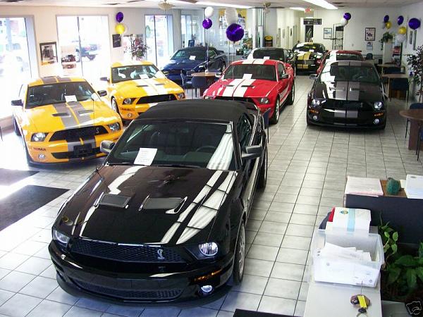 No Deal Yet....Still Waiting-shelby-500s.jpg