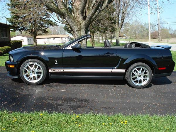 Shelby GT500 Convertible Pics???-dsc00598.jpg