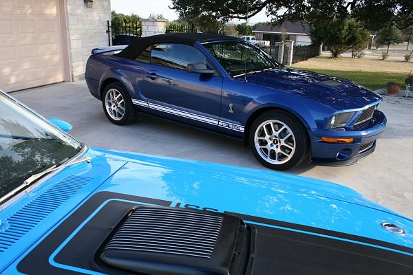 Shelby GT500 Convertible Pics???-img_0429.jpg