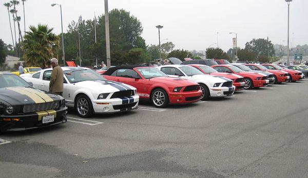 GT500s at the Car Meet-gt500s.jpg