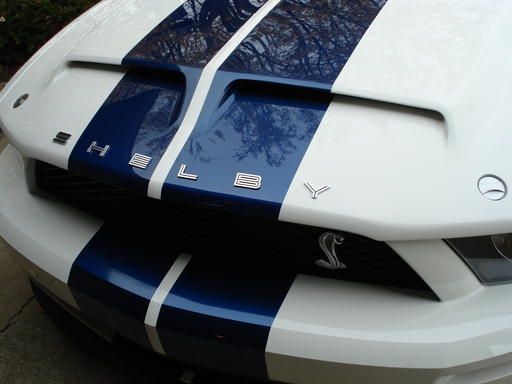 Ford hood letters mustang #6
