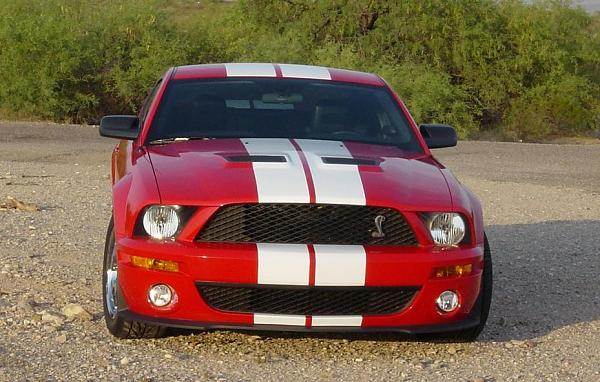 gt500 stripes vinyl?-4330.jpg