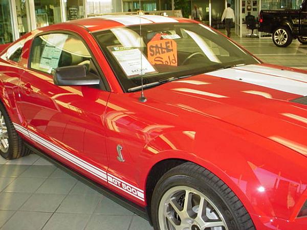 GT 500 Current Pricing ???-dsc01913.jpg