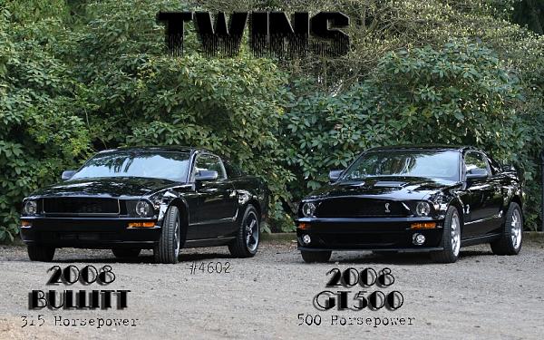 2008 Black GT500 &amp; Bullitt together For your Viewing Pleasure...-twinssmall.jpg