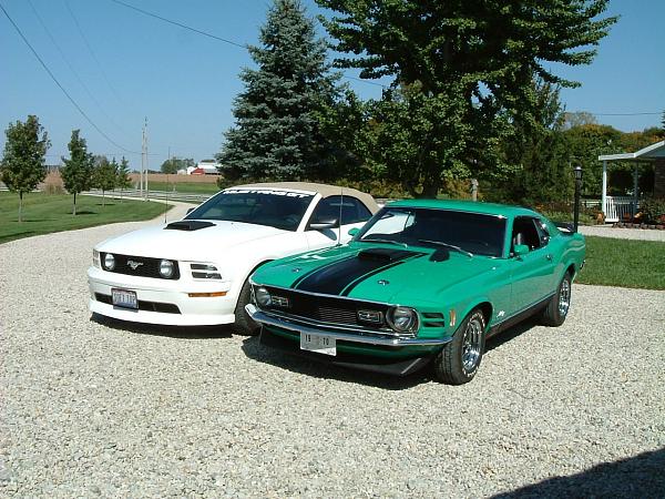 Cost of GT500 in 3 years-my-babies.jpg