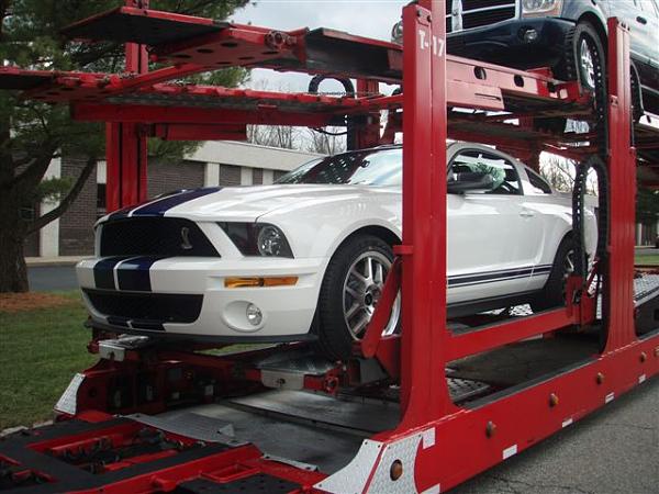 SHE FINALLY ARRIVED!!!!!!-charlies-20white-20gt500-20001.jpg