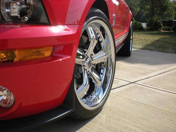 GT500 Pics-8-21-10-razors-ftr.jpg