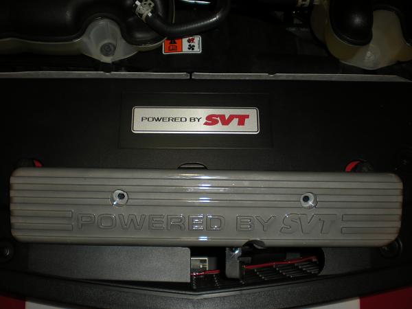 GT500 Pics-dscn1814.jpg