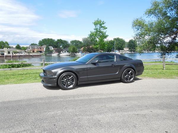 2007-2009 FORD MUSTANG PICTURE GALLERY *Alloy Mustang Check-in*-alloymustang2013018.jpg