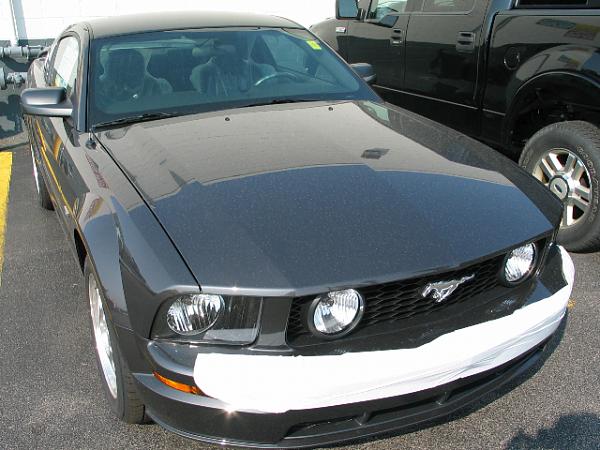 Here's pics of 2007 Alloy Grey GT  just came in todayat myLocalFordDealership 6/27/06-img_2003.jpg