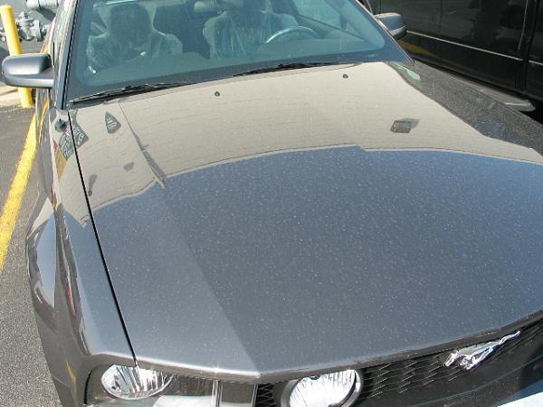 Here's pics of 2007 Alloy Grey GT  just came in todayat myLocalFordDealership 6/27/06-img_2014.jpg