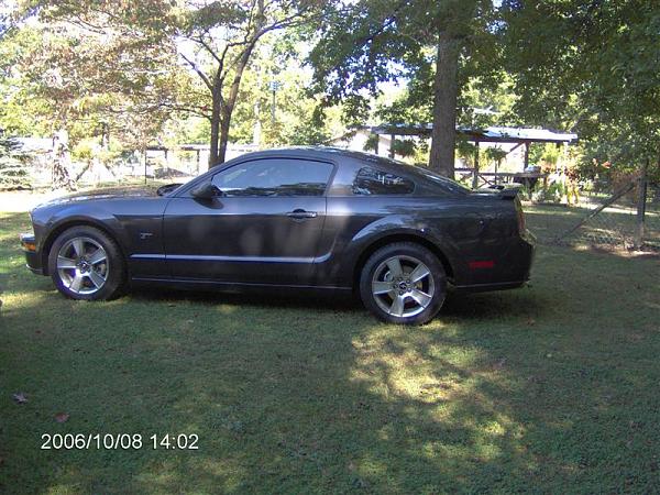2007-2009 FORD MUSTANG Post Pics of your Alloy Ponies here-stang-photos-10-06-022-medium-.jpg