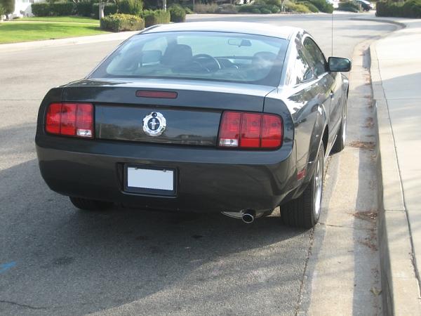 2007-2009 FORD MUSTANG Post Pics of your Alloy Ponies here-newalloy8web.jpg