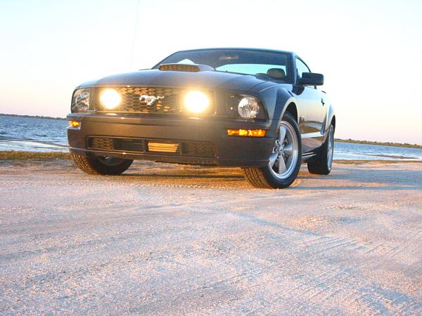 2007-2009 FORD MUSTANG Post Pics of your Alloy Ponies here-114-1403_img.jpg