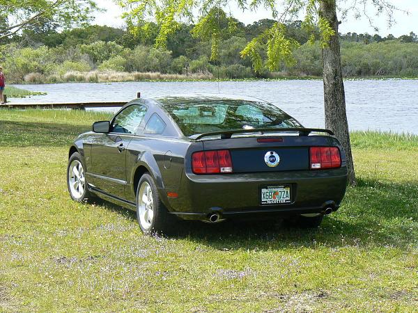 2007-2009 FORD MUSTANG PICTURE GALLERY Let me see those Alloy beauties!-beypark1.jpg