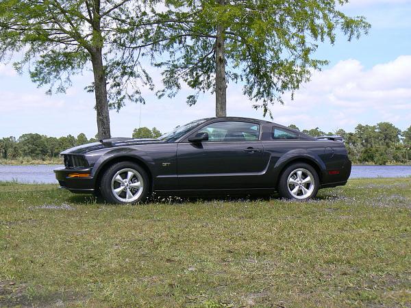 2007-2009 FORD MUSTANG PICTURE GALLERY Let me see those Alloy beauties!-beypark2.jpg