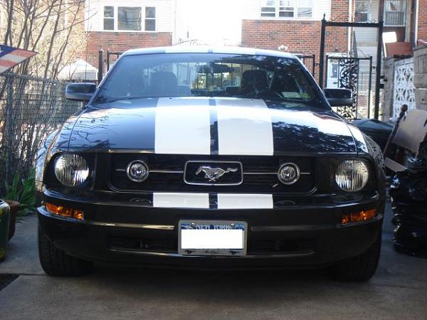 2007-2009 FORD MUSTANG PICTURE GALLERY Let me see those Alloy beauties!-mustang-stripes-2.jpg