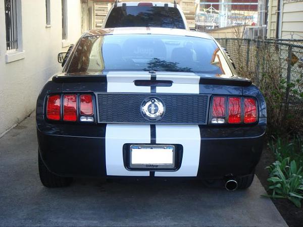 2007-2009 FORD MUSTANG PICTURE GALLERY Let me see those Alloy beauties!-mustang-stripes-1.jpg