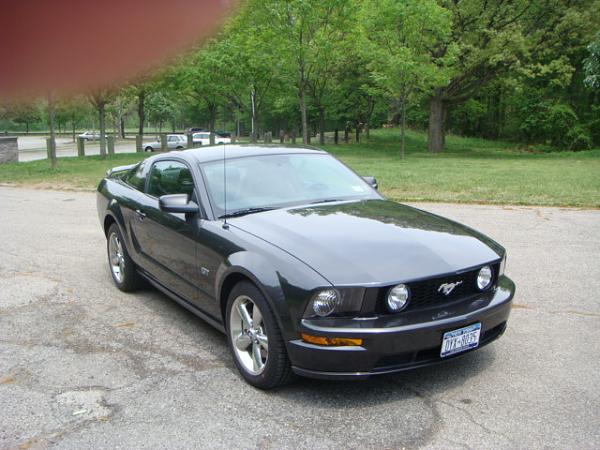 2007-2009 FORD MUSTANG PICTURE GALLERY Let me see those Alloy beauties!-dsc00103.jpg