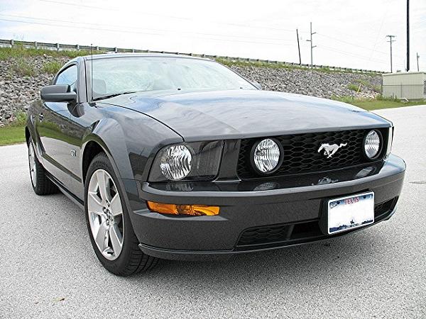 2007-2009 FORD MUSTANG PICTURE GALLERY Let me see those Alloy beauties!-stang-face.jpg