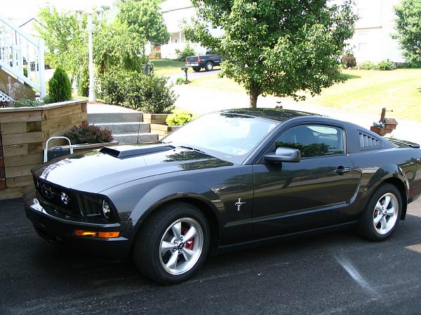 2007-2009 FORD MUSTANG PICTURE GALLERY Let me see those Alloy beauties!-side-hood.jpg