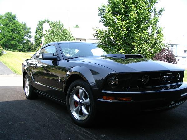 2007-2009 FORD MUSTANG PICTURE GALLERY Let me see those Alloy beauties!-front-hood.jpg