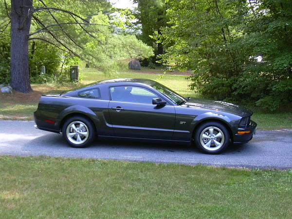 2007-2009 FORD MUSTANG PICTURE GALLERY Let me see those Alloy beauties!-dscn0031.jpg