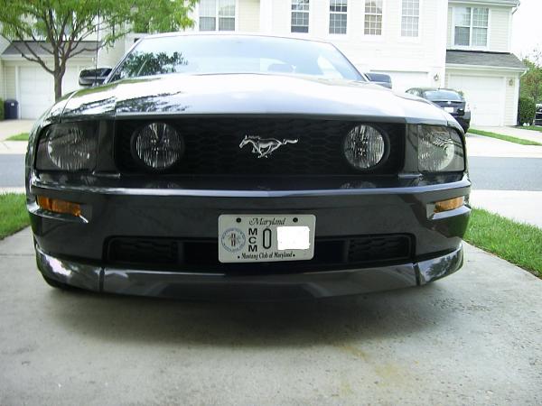 2007-2009 FORD MUSTANG PICTURE GALLERY *Alloy Mustang Check-in*-picture-2.jpg