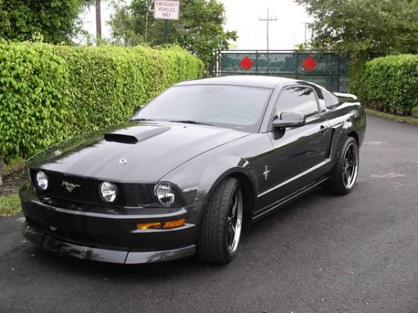 2007-2009 FORD MUSTANG PICTURE GALLERY *Alloy Mustang Check-in*-new-20nov2407-20004-1.jpg