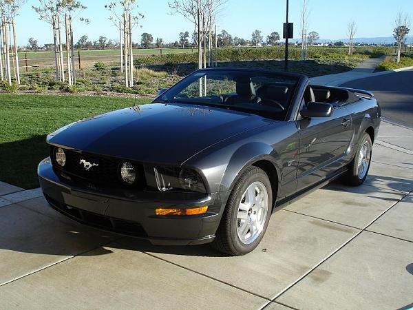 2007-2009 FORD MUSTANG PICTURE GALLERY *Alloy Mustang Check-in*-mustanggt1.jpg