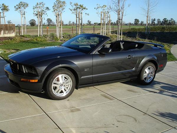 2007-2009 FORD MUSTANG PICTURE GALLERY *Alloy Mustang Check-in*-mustanggt2.jpg