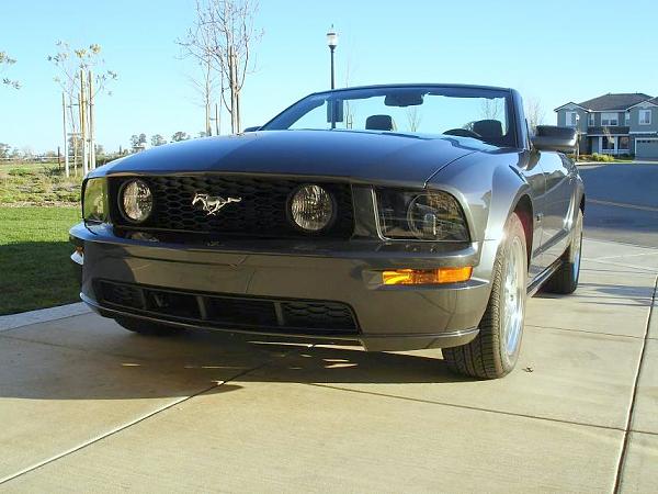 2007-2009 FORD MUSTANG PICTURE GALLERY *Alloy Mustang Check-in*-mustanggtex.jpg