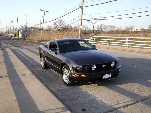 2007-2009 FORD MUSTANG PICTURE GALLERY *Alloy Mustang Check-in*-apr08stang.jpg