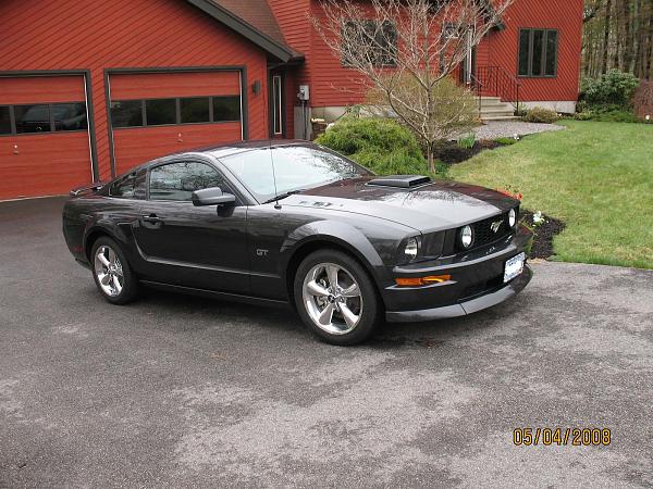 2007-2009 FORD MUSTANG PICTURE GALLERY *Alloy Mustang Check-in*-emily.jpg