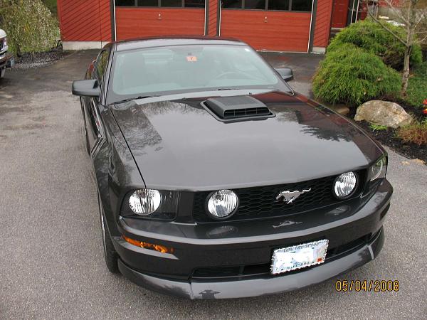 2007-2009 FORD MUSTANG PICTURE GALLERY *Alloy Mustang Check-in*-emily1.jpg