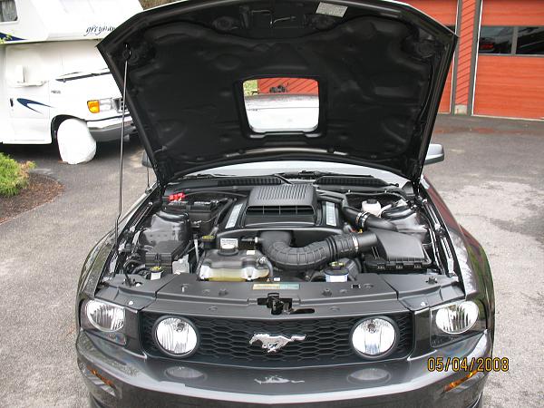 2007-2009 FORD MUSTANG PICTURE GALLERY *Alloy Mustang Check-in*-img_0111.jpg