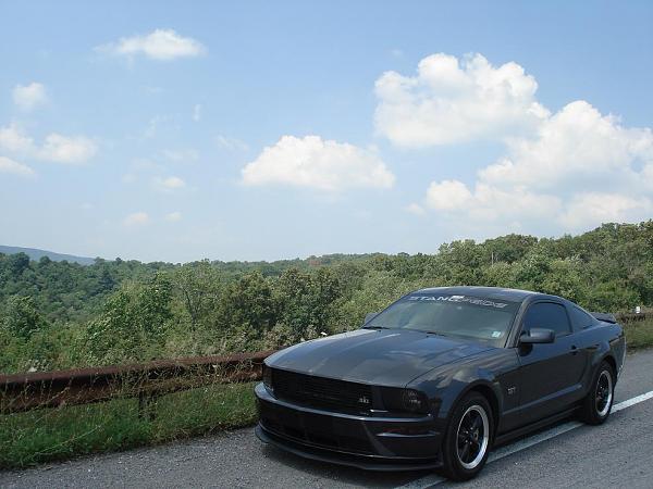 2007-2009 FORD MUSTANG PICTURE GALLERY *Alloy Mustang Check-in*-dsc02164.jpg