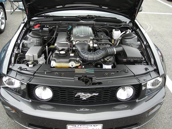 2007-2009 FORD MUSTANG PICTURE GALLERY *Alloy Mustang Check-in*-dscn2763.jpg