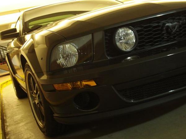 2007-2009 S-197 Gen 1 FORD MUSTANG ALLOY GRAY PICTURE GALLERY  Hooray for Alloy Grey!-dsc02429.jpg