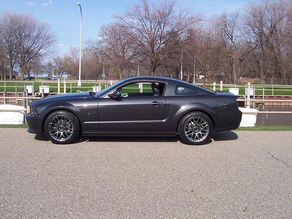 2007-2009 S-197 Gen 1 FORD MUSTANG ALLOY GRAY PICTURE GALLERY  Hooray for Alloy Grey!-frpp-svt-rims-032.jpg