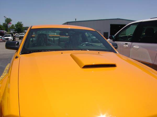 Here's pics of 2007 Orange GT from my Local Ford Dealership today 6/15/06-dsc03980.jpg