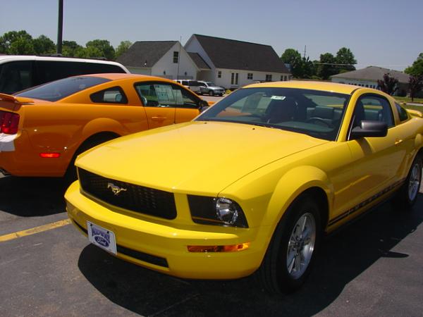 Here's pics of 2007 Orange GT from my Local Ford Dealership today 6/15/06-dsc03977.jpg