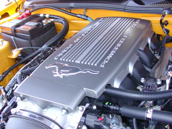 Here's pics of 2007 Orange GT from my Local Ford Dealership today 6/15/06-dsc03983.jpg